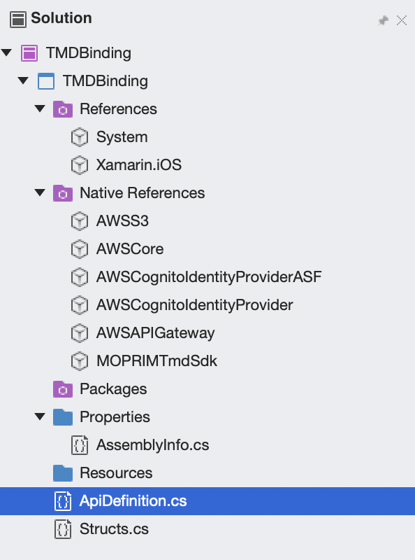 Bindings Project Structure